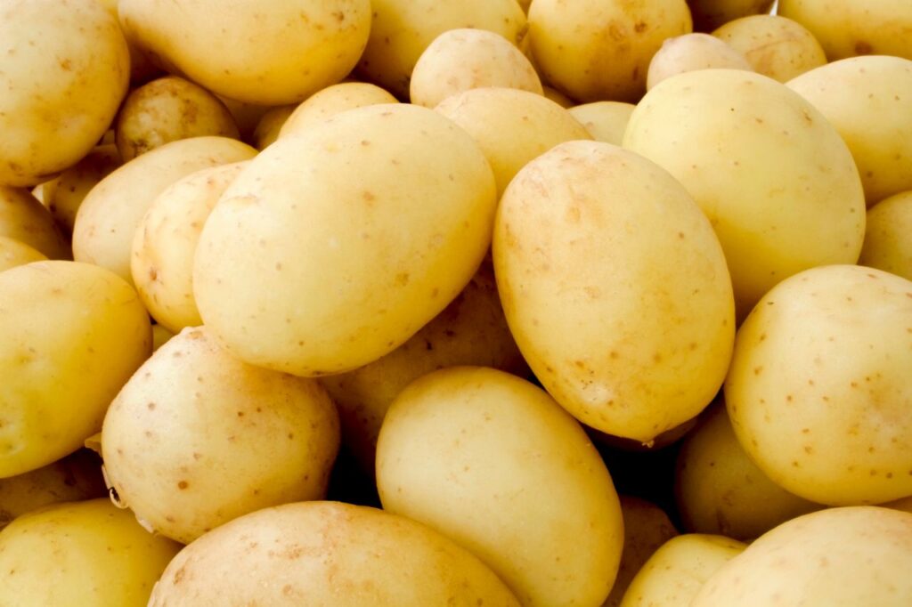 batata lavadas